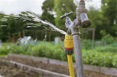 How To Fix A Leaking Hose Bib